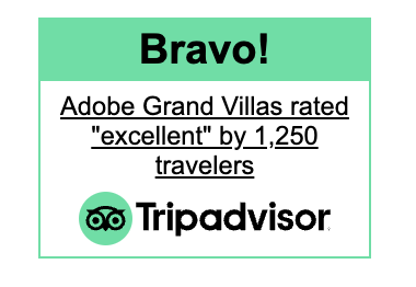 Trip Advisor bravo!  Review link rated excellent by 1250 travelers 